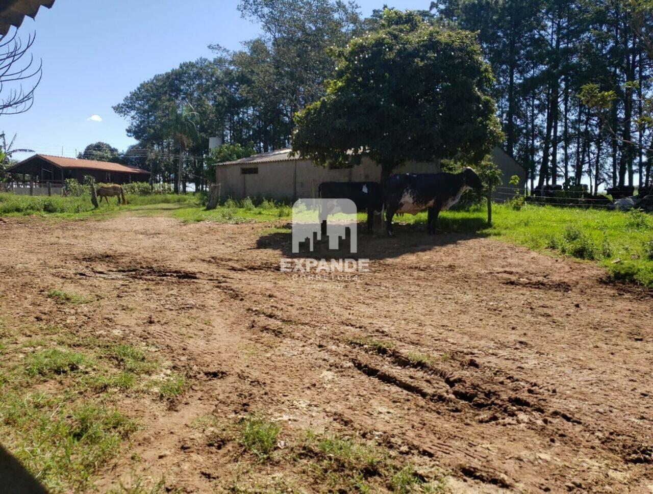 Fazenda Itatinga, Itatinga - SP