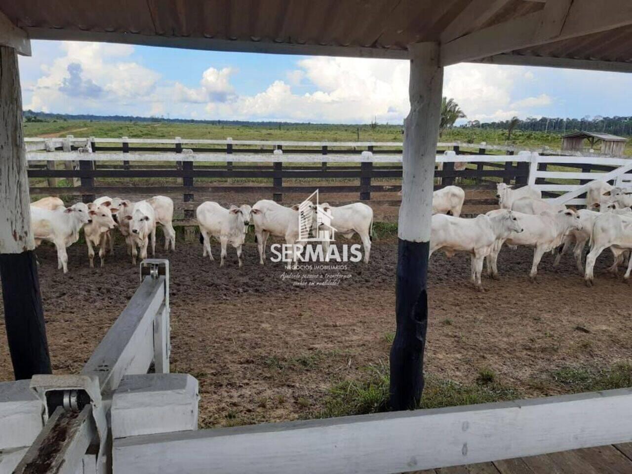 Fazenda Zona Rural, Machadinho D'Oeste - RO