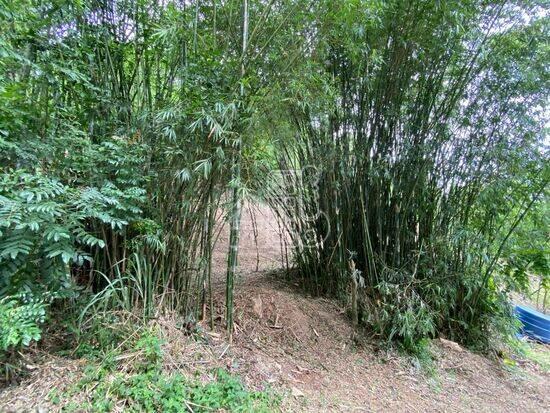 Piratininga - Niterói - RJ, Niterói - RJ