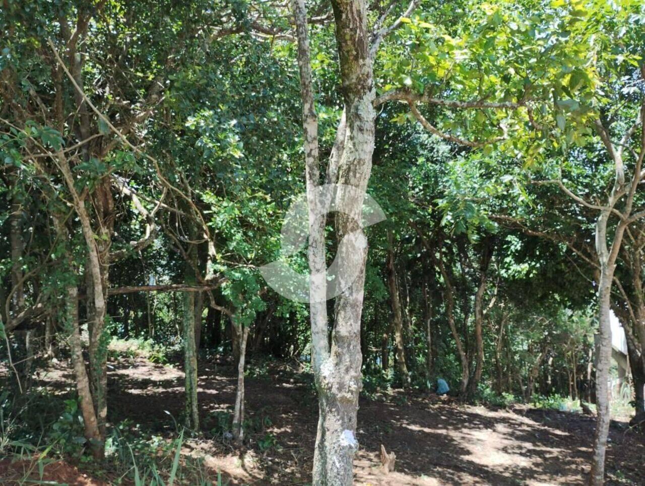 Terreno Ponta Negra, Maricá - RJ