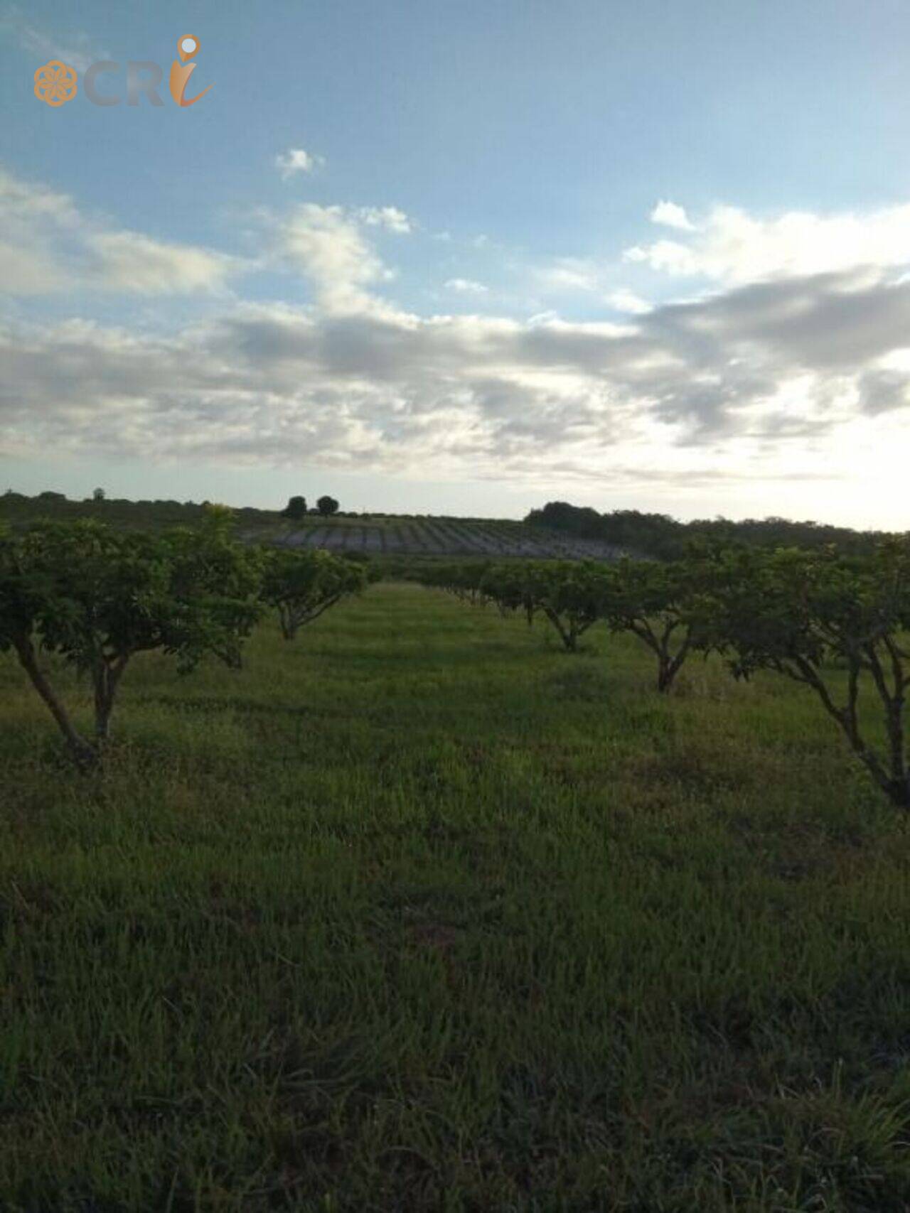 Fazenda Guanacés, Cascavel - CE