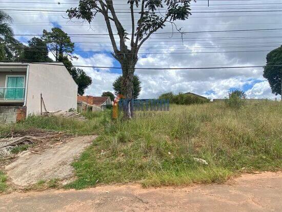 Terreno de 456 m² na Sociólogo Gilberto Freyre - Santa Felicidade - Curitiba - PR, à venda por R$ 55