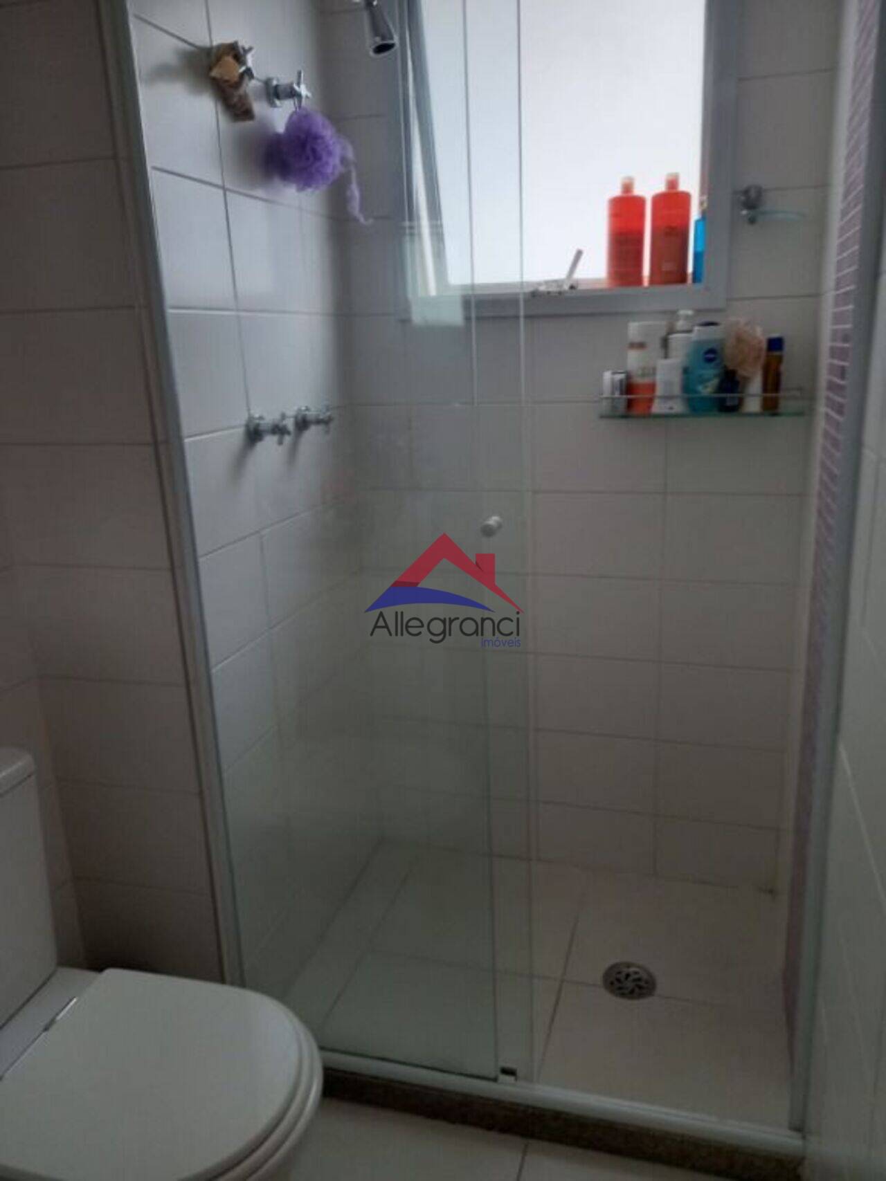 Apartamento Belenzinho, São Paulo - SP