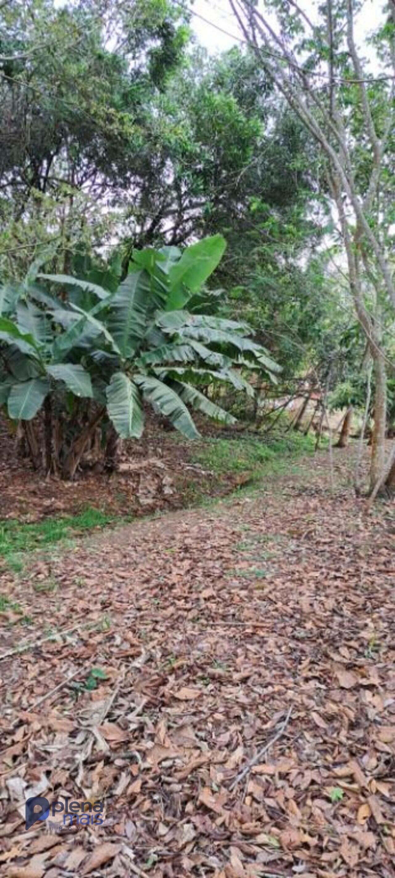 Chácara Zona Rural, Cachoeira de Minas - MG