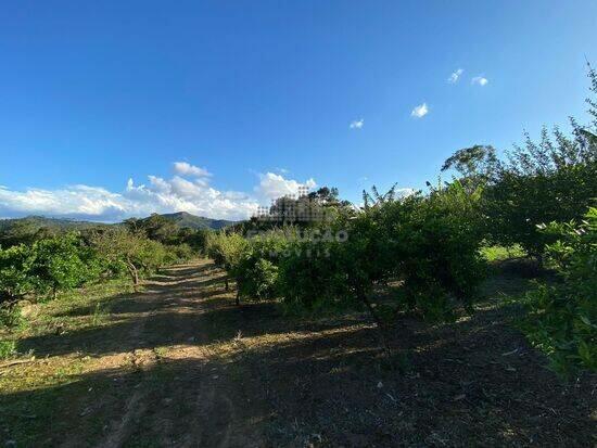 Oliveira - Tijucas - SC, Tijucas - SC