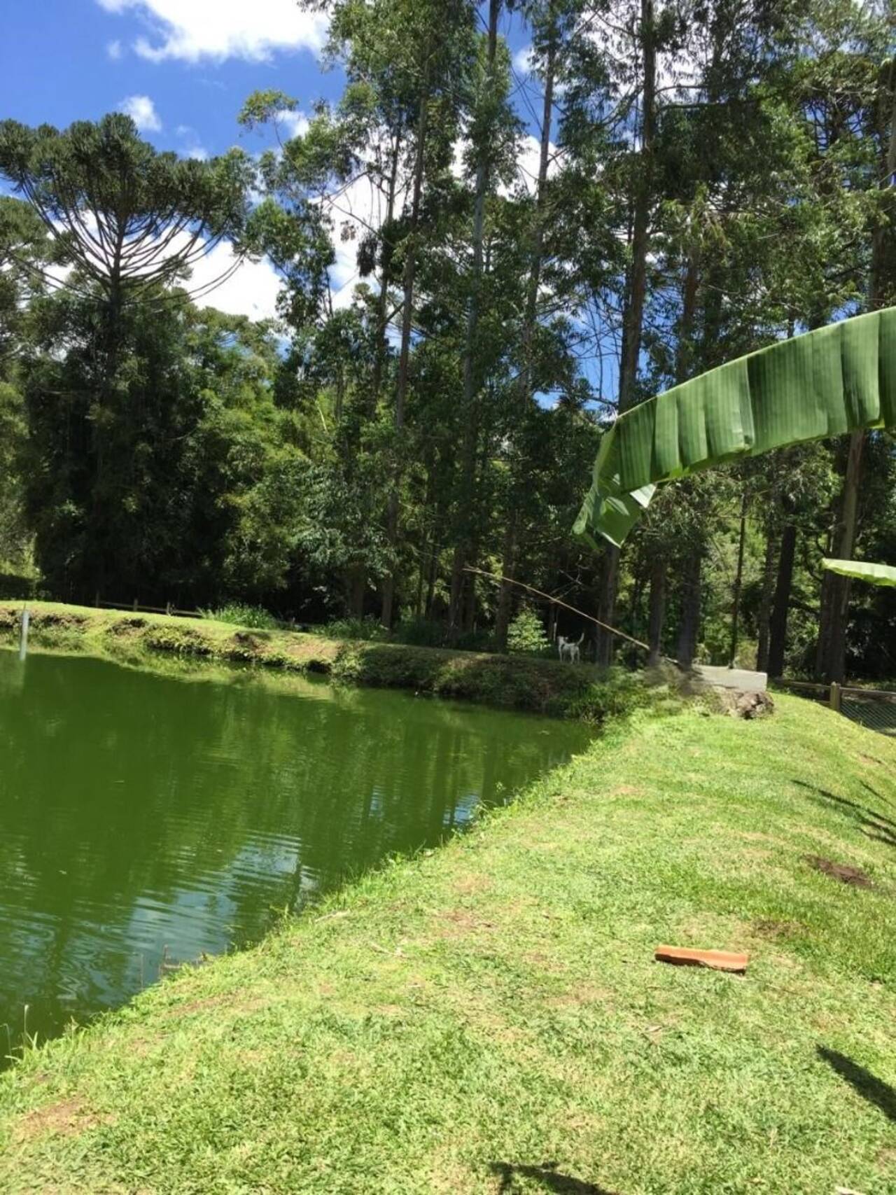 Sítio Furnas, Extrema - MG