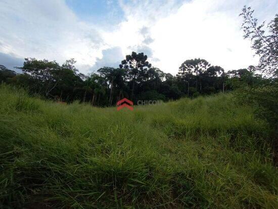 Taipas de Pedras (Mailasqui) - São Roque - SP, São Roque - SP