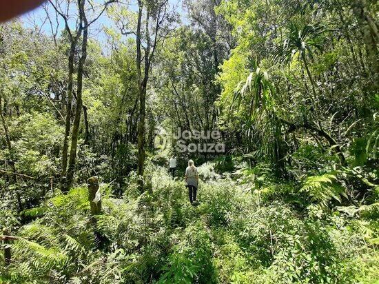 Bateias - Campo Largo - PR, Campo Largo - PR