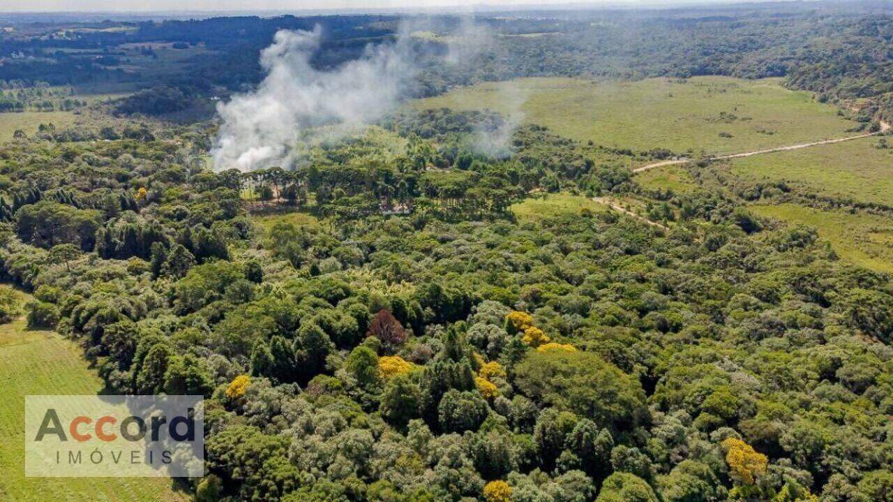 Chácara Borda Do Campo, São José dos Pinhais - PR