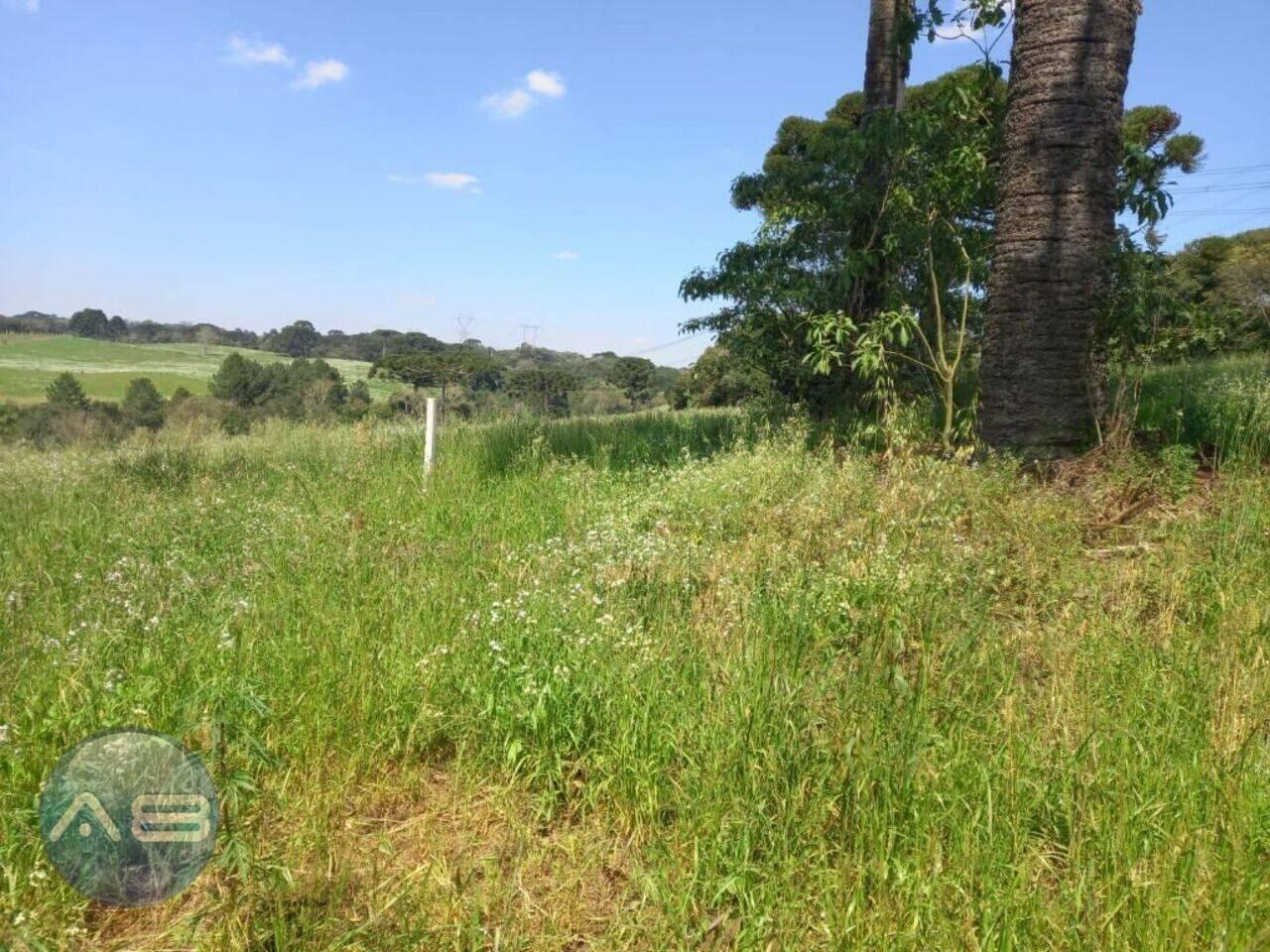 Área Reboucas, Campo Largo - PR