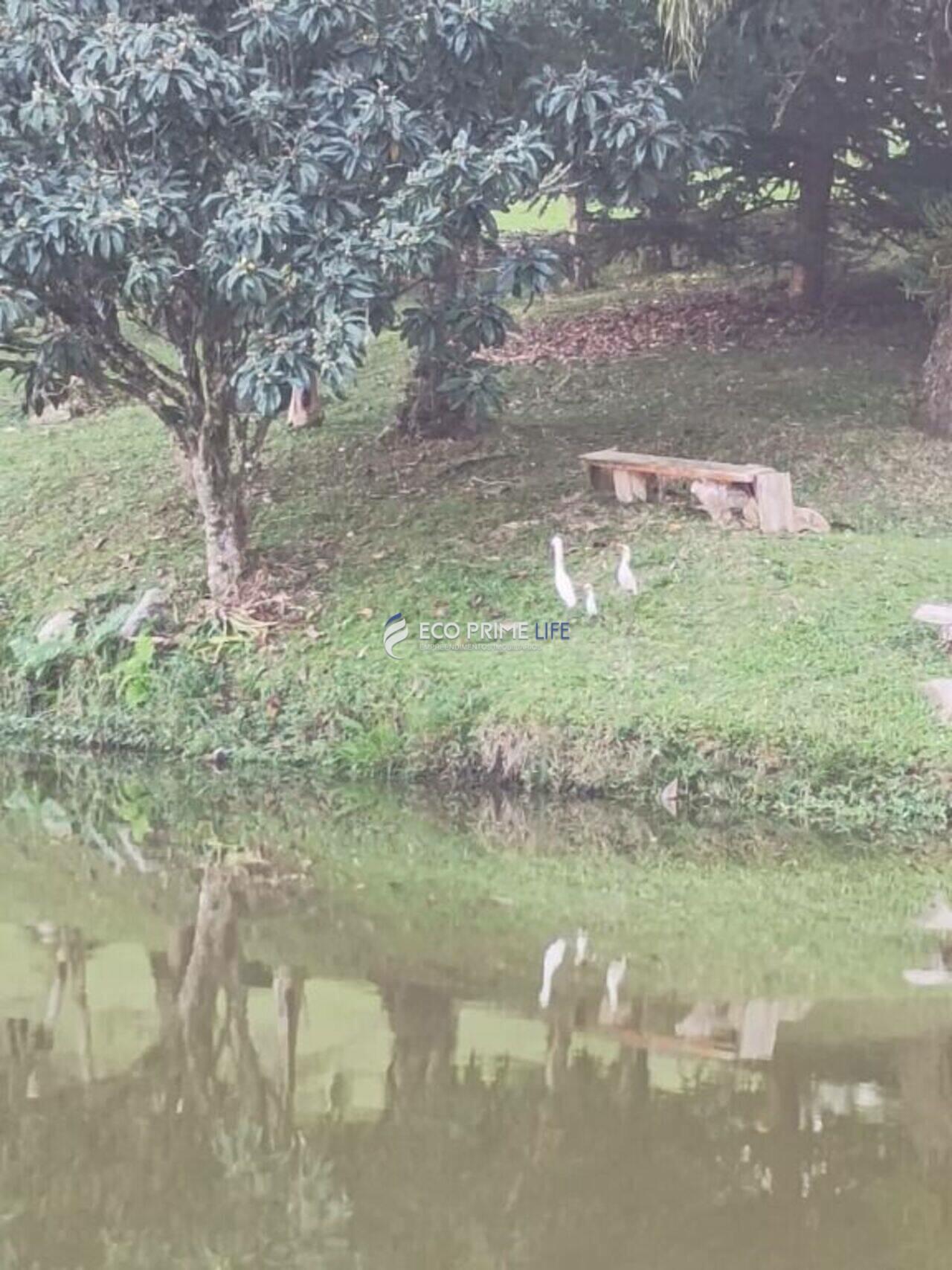 Sítio Colônia Murici, São José dos Pinhais - PR