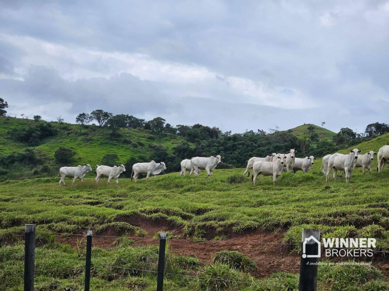 Fazenda Centro, Nova Tebas - PR