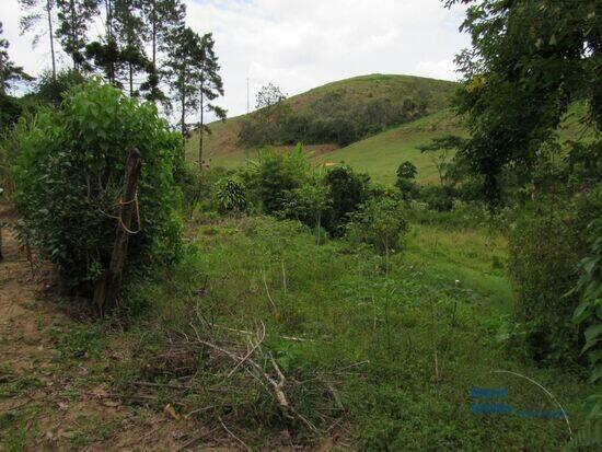 Campo do Coelho - Nova Friburgo - RJ, Nova Friburgo - RJ