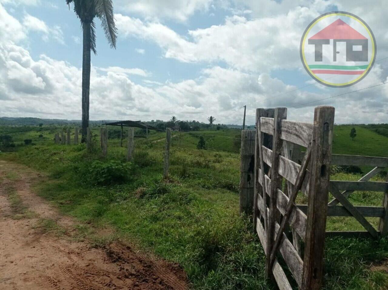 Fazenda Zona Rural, Bom Jesus do Tocantins - PA