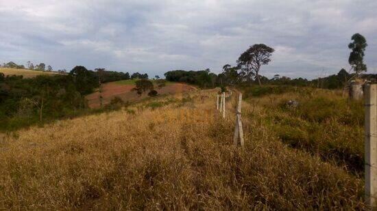 Puris - Ibiúna - SP, Ibiúna - SP