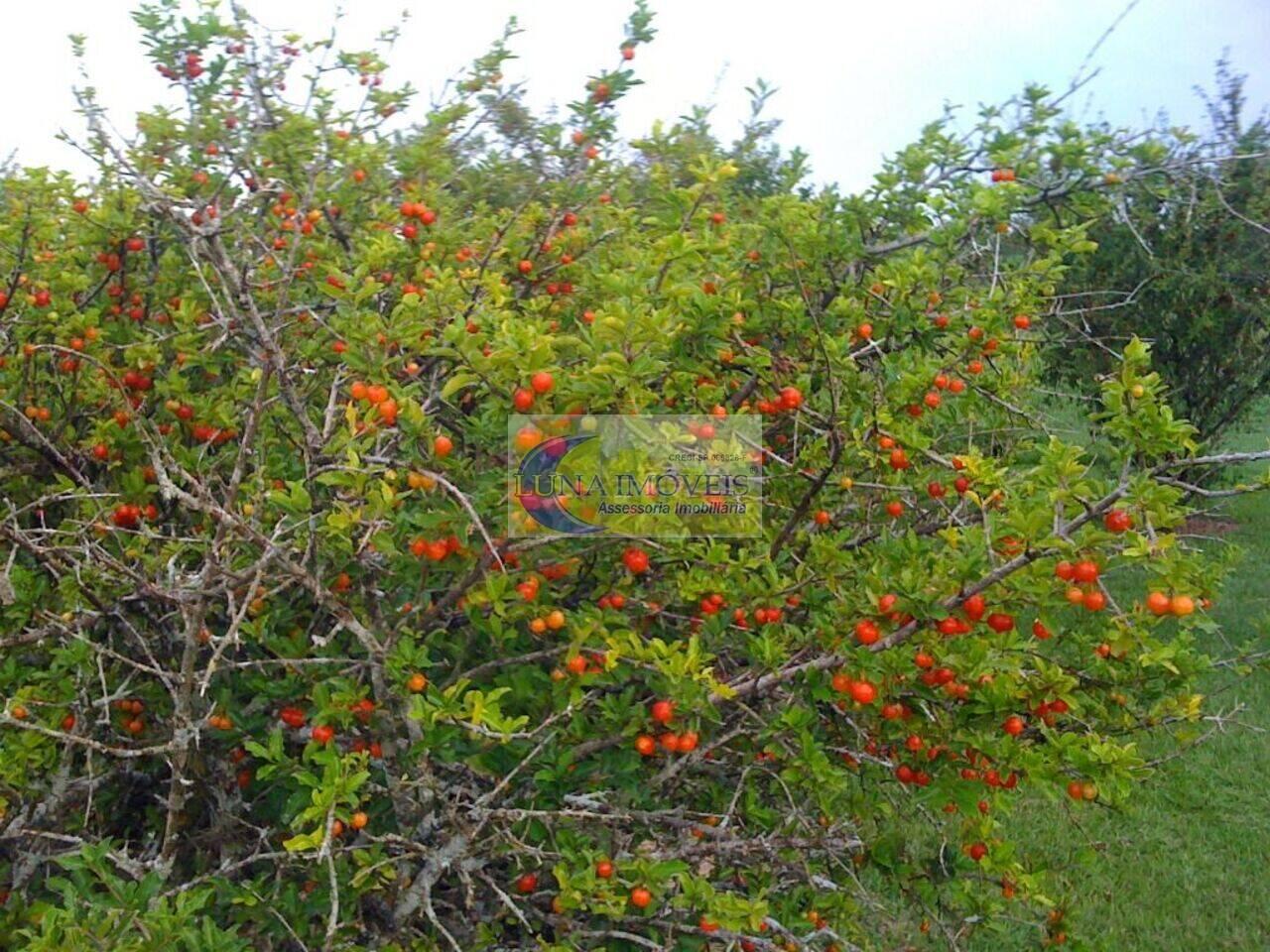 Chácara Área Rural de Boituva, Boituva - SP