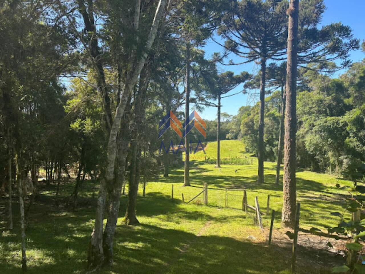 Chácara Contenda, São José dos Pinhais - PR