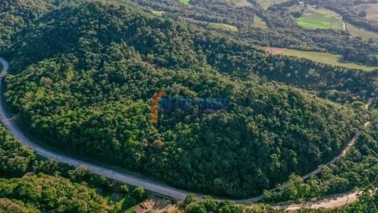 São Caetano - Campo Largo - PR, Campo Largo - PR