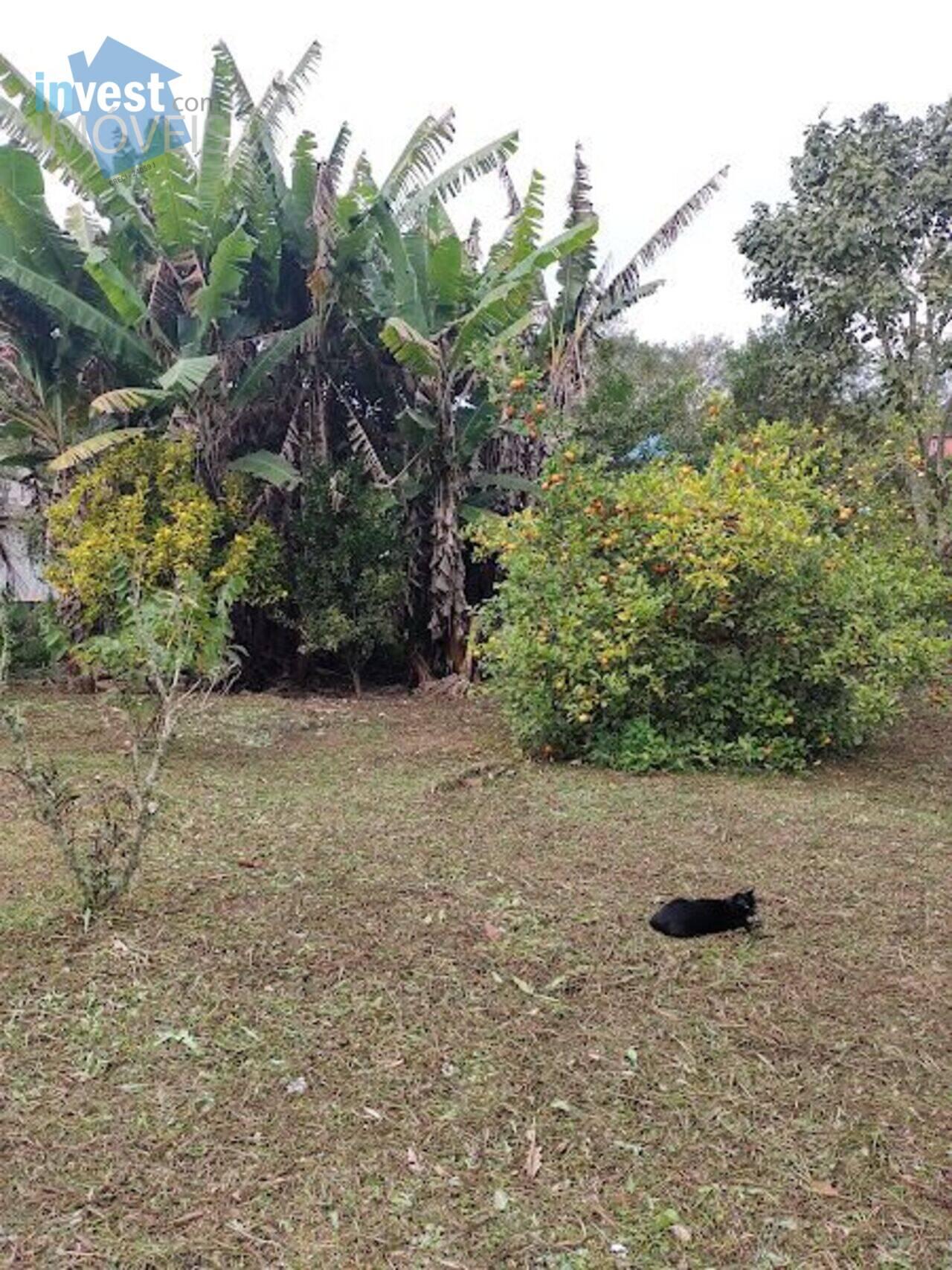 Terreno Chácara Paraíso (Santa Luzia), Ribeirão Pires - SP