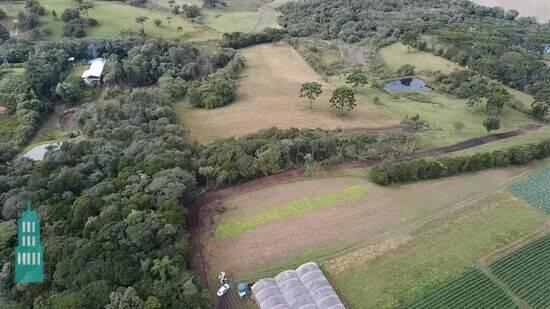 Colônia Murici - São José dos Pinhais - PR, São José dos Pinhais - PR