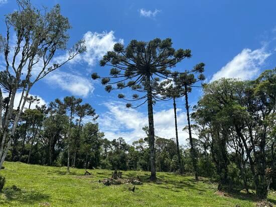 Queimada Grande - Rancho Queimado - SC, Rancho Queimado - SC