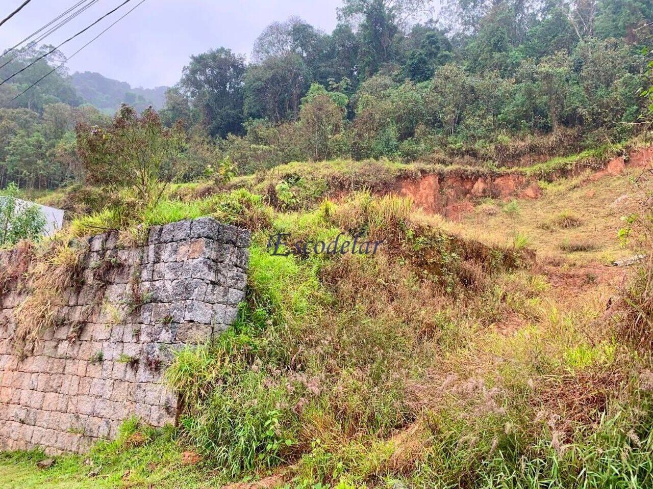 Terreno Jardim Peri, São Paulo - SP