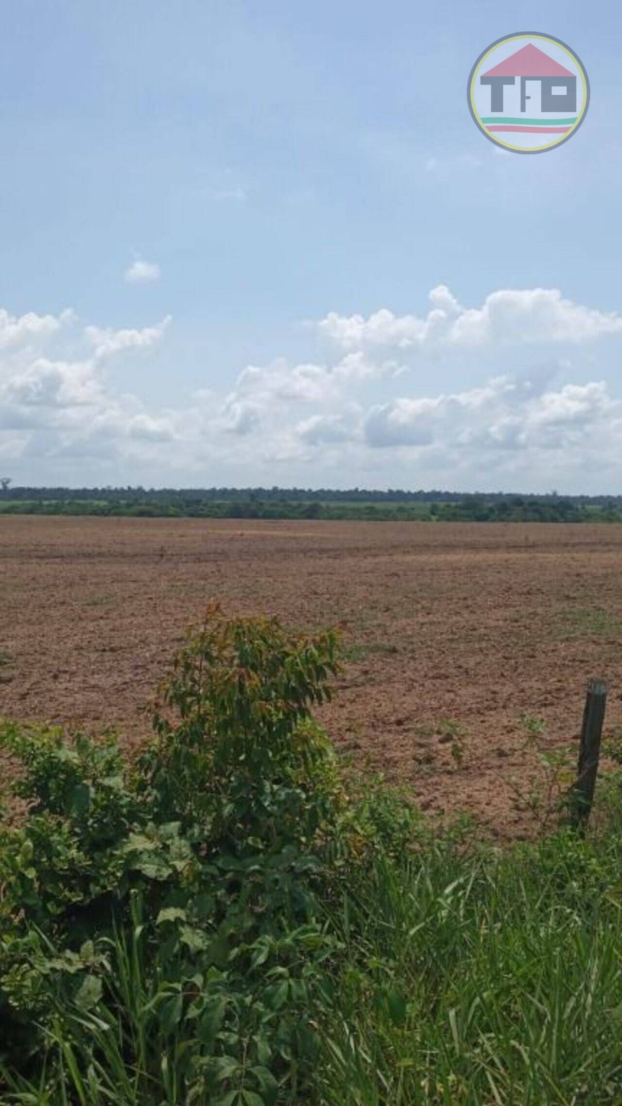 Fazenda Zona Rural, Tailândia - PA