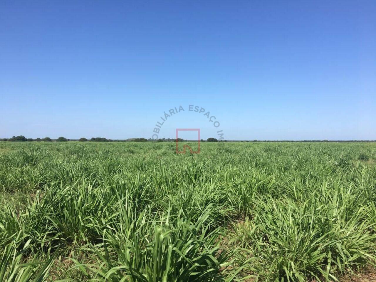 Fazenda Centro, Barreiras - BA