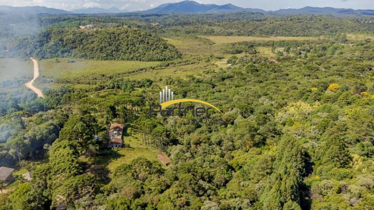 Chácara Borda Do Campo, São José dos Pinhais - PR