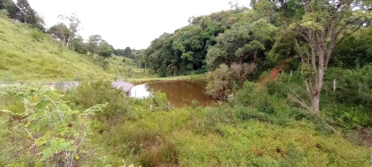 Chácara Palmitalzinho, Quatro Barras - PR