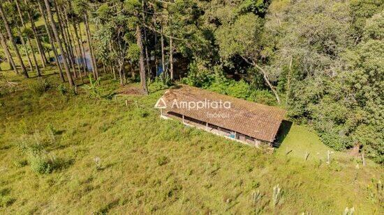 Borda Do Campo - São José dos Pinhais - PR, São José dos Pinhais - PR