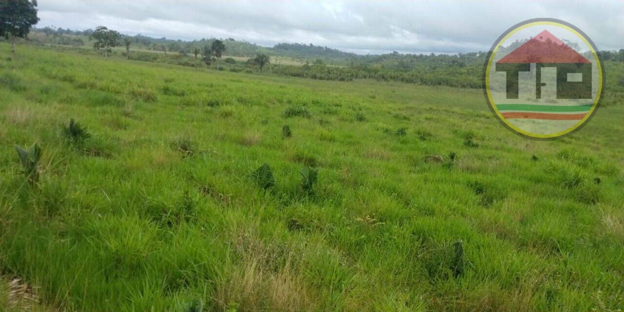 Fazenda Zona Rural, Novo Repartimento - PA