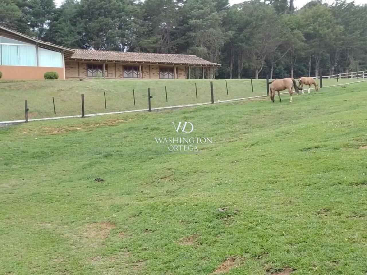 Haras Colônia Murici, São José dos Pinhais - PR