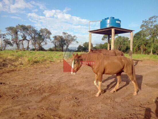 Área Rural de Avaré - Avaré - SP, Avaré - SP