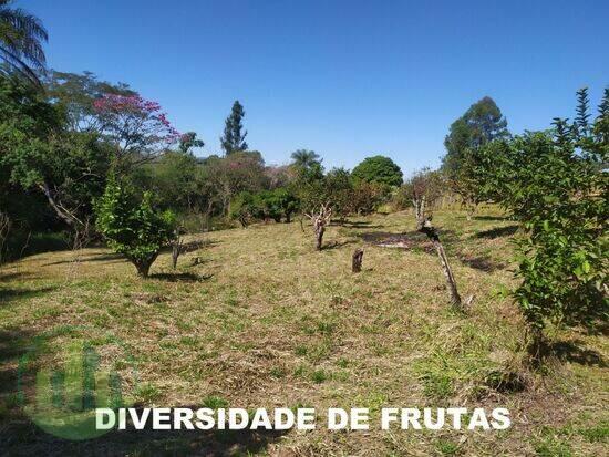 Rodovia - São João da Boa Vista - SP, São João da Boa Vista - SP