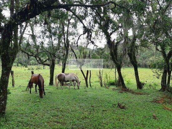 Estação - Araucária - PR, Araucária - PR