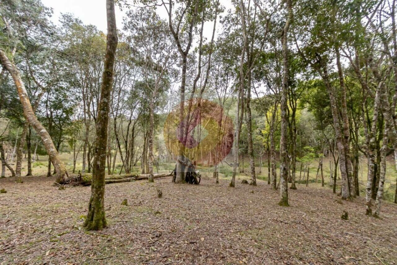 Chácara Mandassaia, Campina Grande do Sul - PR