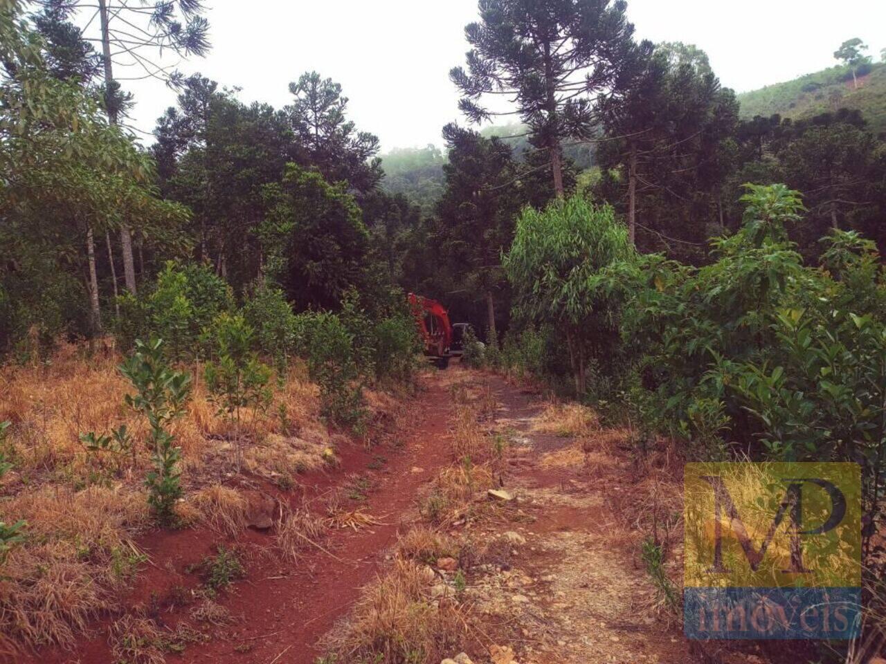 Fazenda Zona Rural, Cruz Machado - PR