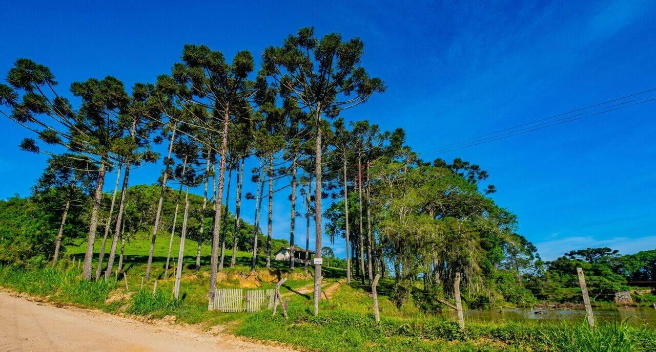 Chácara Chapada, Araucária - PR