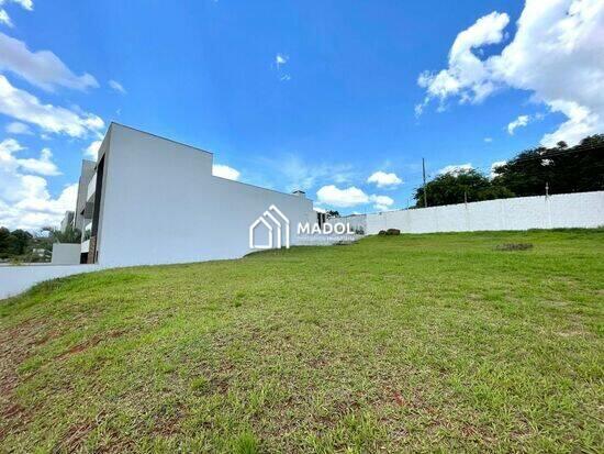 Colônia Dona Luiza - Ponta Grossa - PR, Ponta Grossa - PR