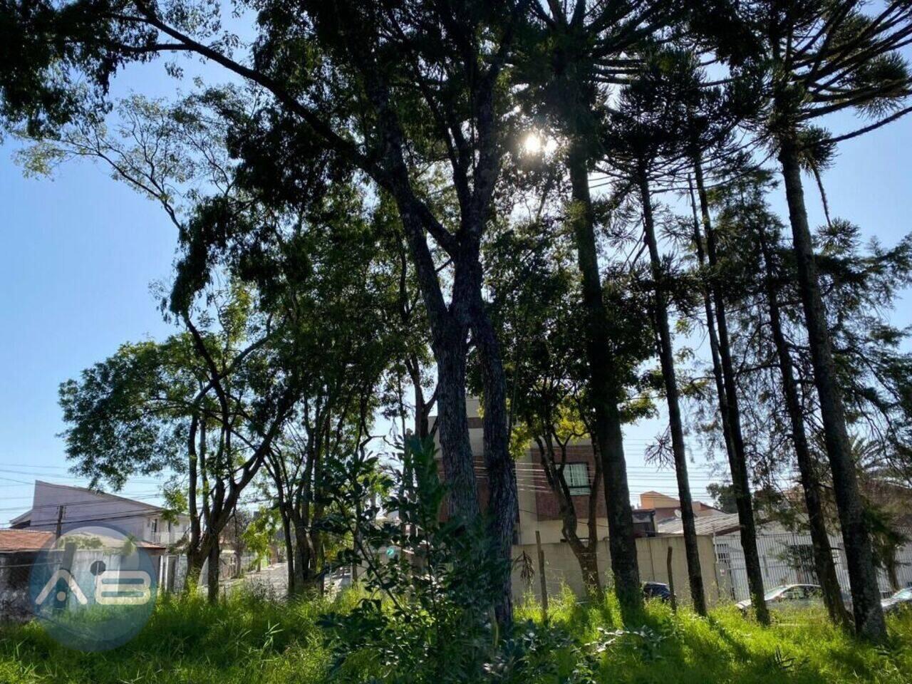 Terreno Bacacheri, Curitiba - PR