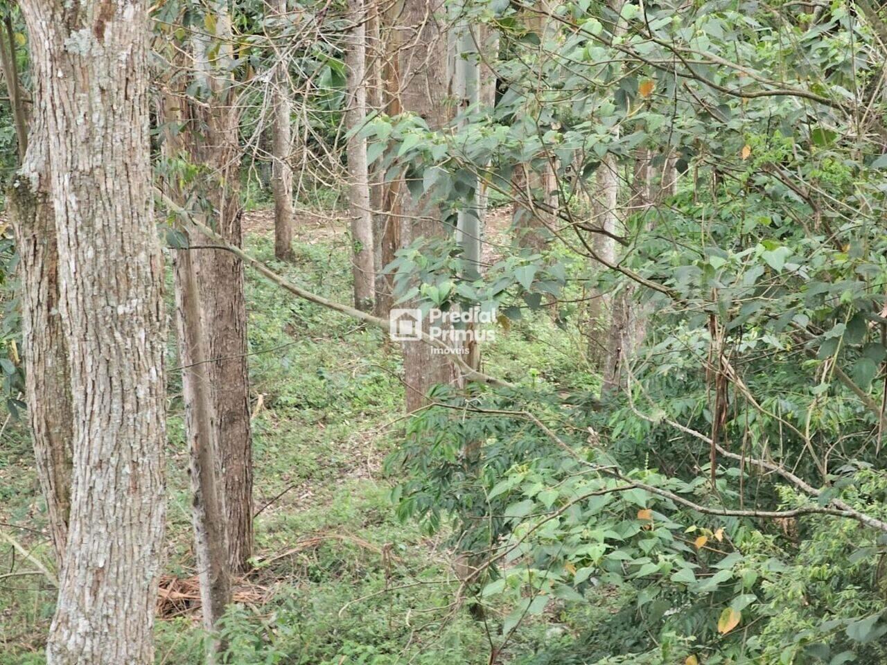 Terreno Riograndina, Nova Friburgo - RJ