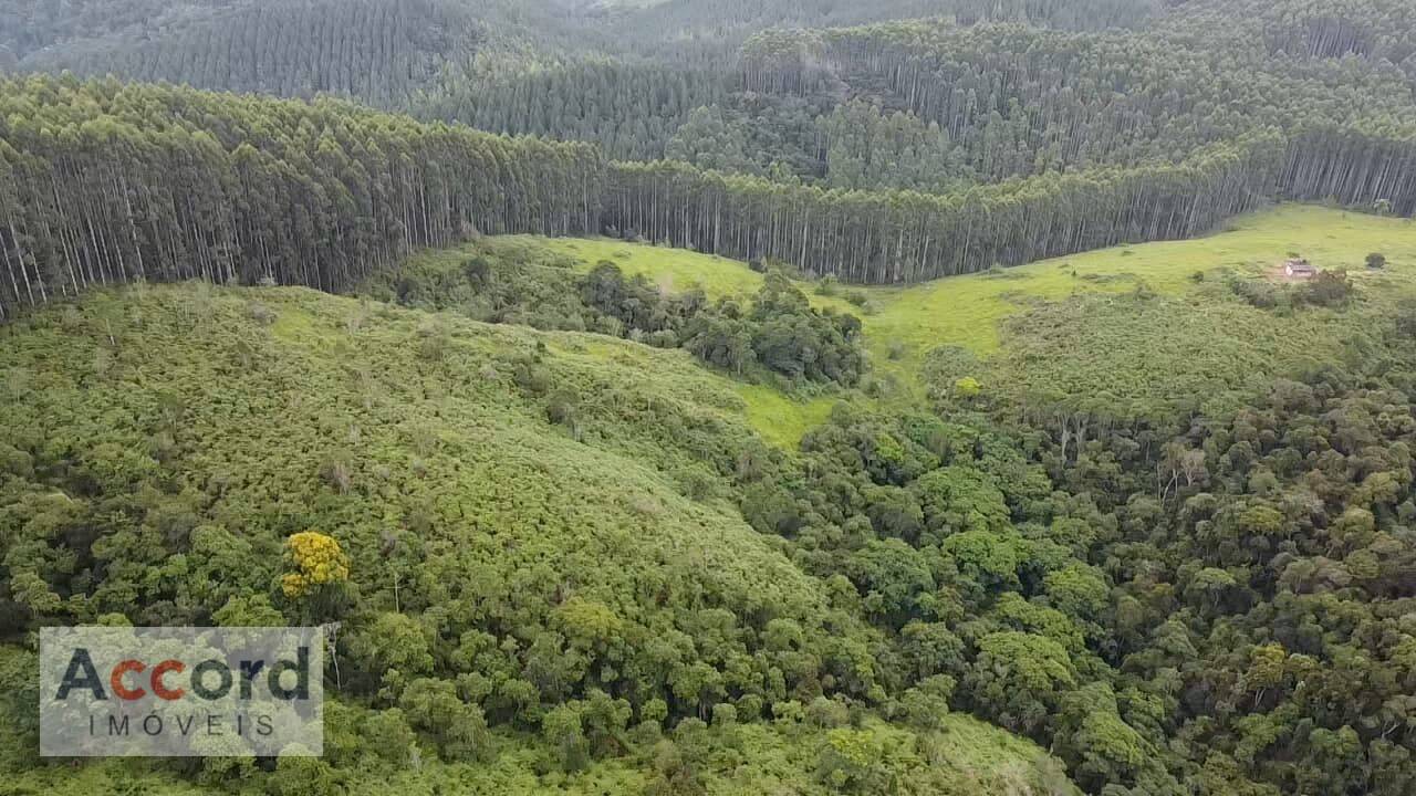 Sítio Caçadorzinho, Adrianópolis - PR