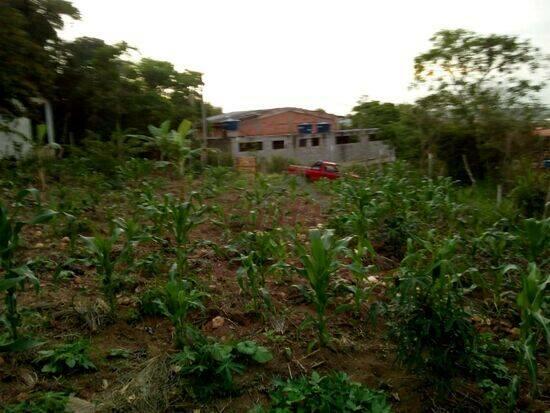 Terreno Praia Rasa, Armação dos Búzios - RJ