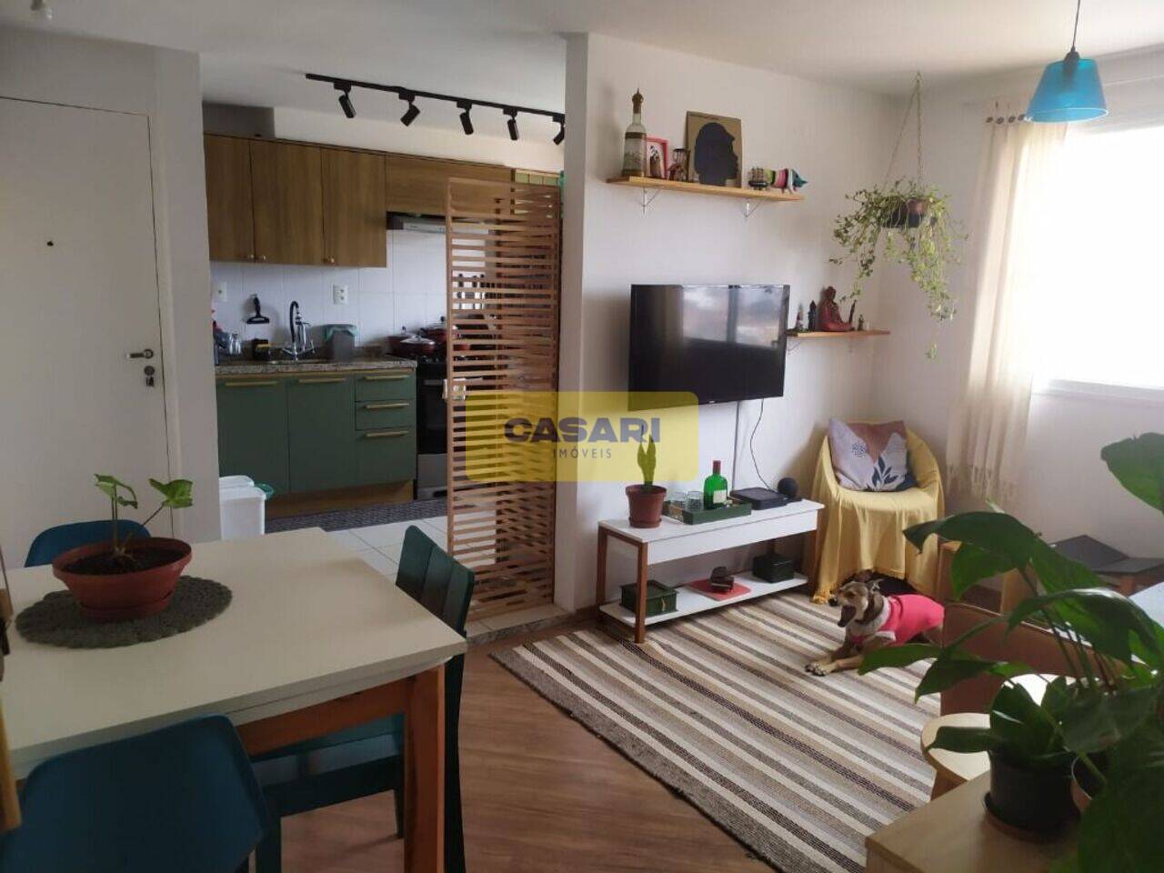 Apartamento Jardim Irajá, São Bernardo do Campo - SP