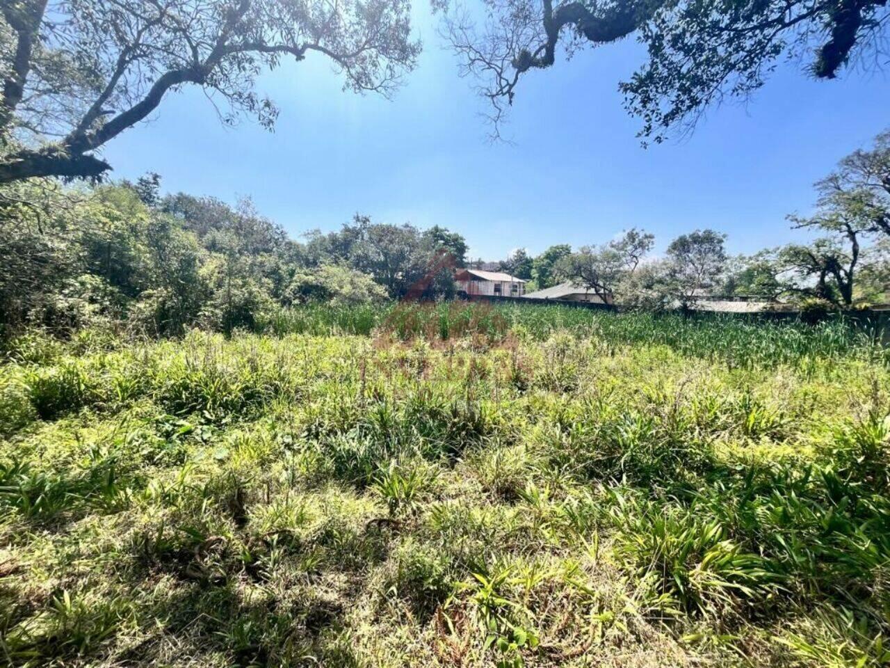 Chácara Borda Do Campo, São José dos Pinhais - PR