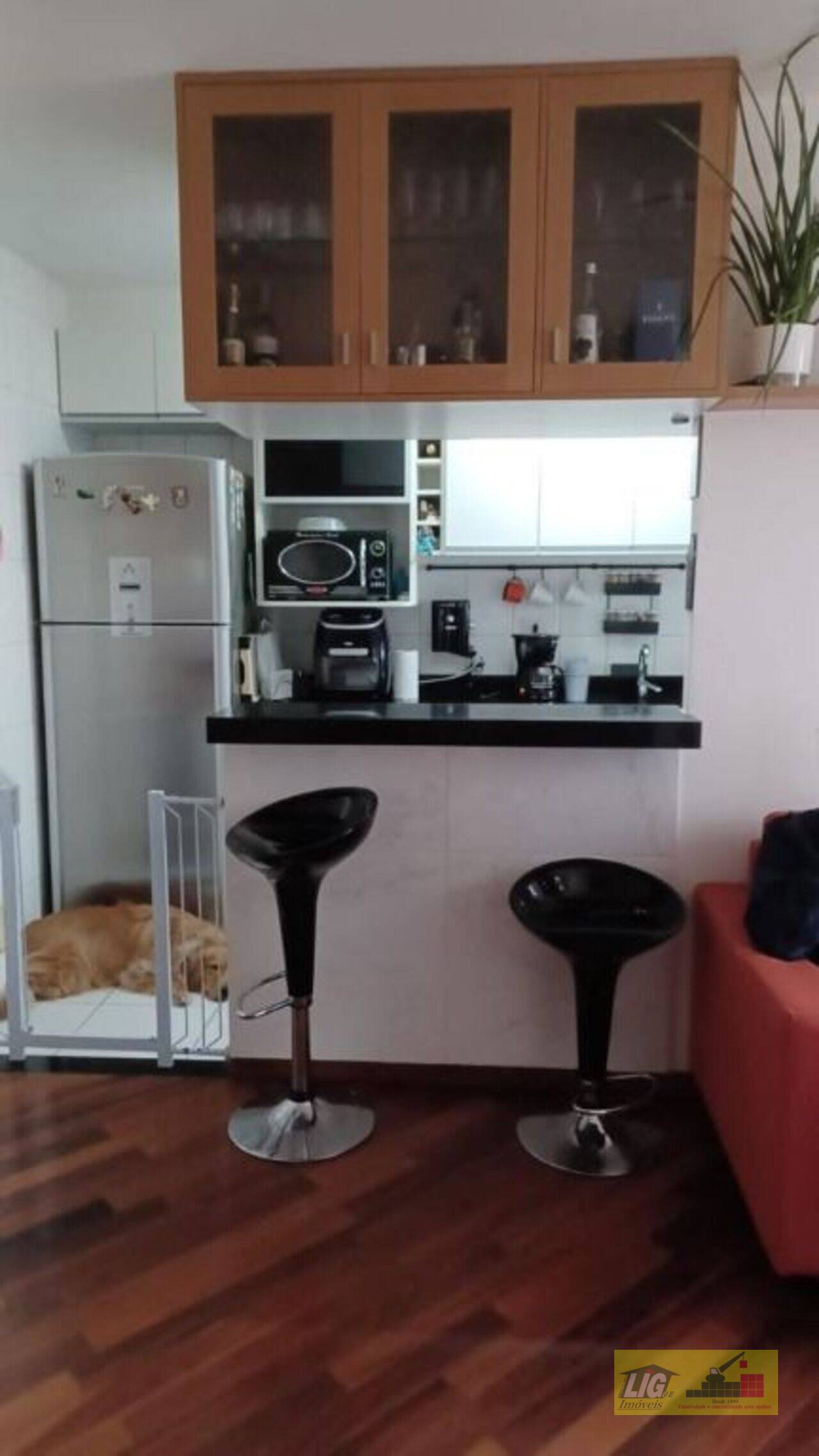 Apartamento Jardim Ester Yolanda, São Paulo - SP