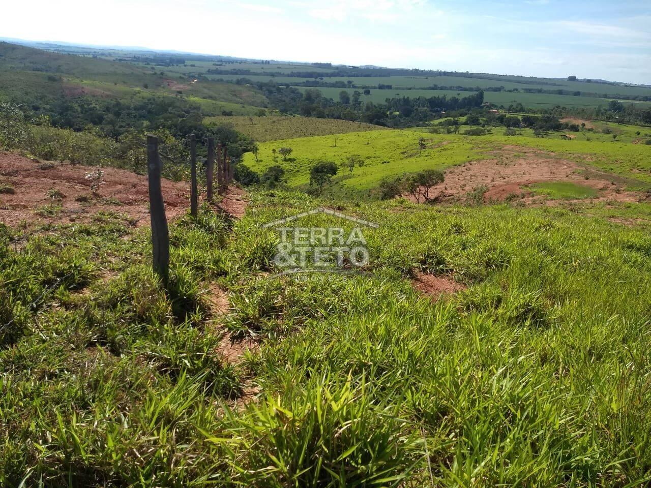 Fazenda Área Rural de Patos de Minas, Patos de Minas - MG