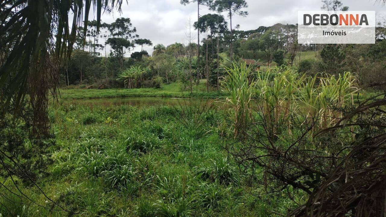 Terreno Vila Conceição, Campo Largo - PR