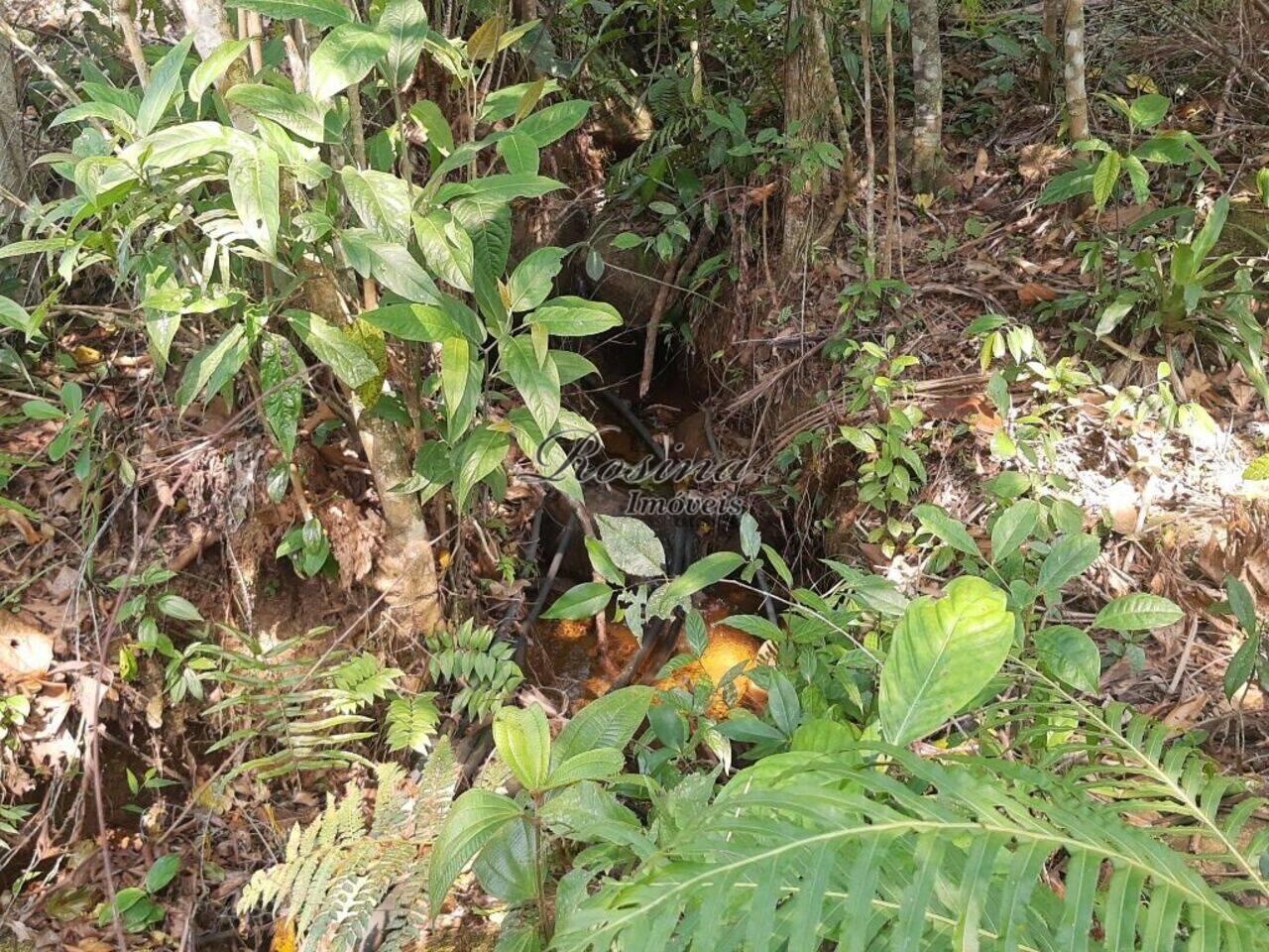 Terreno Rio Sagrado, Morretes - PR